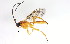  ( - BIOUG00821-A11)  @12 [ ] CreativeCommons - Attribution (2011) CBG Photography Group Centre for Biodiversity Genomics
