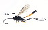  ( - BIOUG00821-C06)  @13 [ ] CreativeCommons - Attribution (2011) CBG Photography Group Centre for Biodiversity Genomics
