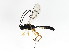  ( - BIOUG00846-G10)  @12 [ ] CreativeCommons - Attribution (2011) CBG Photography Group Centre for Biodiversity Genomics