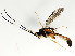  ( - BIOUG00846-H04)  @13 [ ] CreativeCommons - Attribution (2011) CBG Photography Group Centre for Biodiversity Genomics