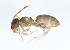  ( - BIOUG00857-D10)  @15 [ ] CreativeCommons - Attribution (2011) CBG Photography Group Centre for Biodiversity Genomics