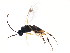  ( - BIOUG00859-A10)  @11 [ ] CreativeCommons - Attribution (2011) CBG Photography Group Centre for Biodiversity Genomics