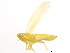  ( - BIOUG00917-F07)  @13 [ ] CreativeCommons - Attribution (2011) CBG Photography Group Centre for Biodiversity Genomics