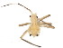  ( - BIOUG00941-D06)  @12 [ ] CreativeCommons - Attribution (2011) CBG Photography Group Centre for Biodiversity Genomics