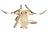  ( - BIOUG00941-E05)  @12 [ ] CreativeCommons - Attribution (2011) CBG Photography Group Centre for Biodiversity Genomics