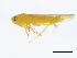  ( - BIOUG00947-C01)  @12 [ ] CreativeCommons - Attribution (2011) CBG Photography Group Centre for Biodiversity Genomics