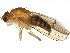  ( - BIOUG01432-C10)  @15 [ ] CreativeCommons - Attribution (2012) CBG Photography Group Centre for Biodiversity Genomics