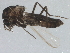  ( - BIOUG01433-G12)  @12 [ ] CreativeCommons - Attribution (2012) CBG Photography Group Centre for Biodiversity Genomics