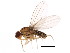  ( - BIOUG01389-B01)  @13 [ ] CreativeCommons - Attribution (2012) CBG Photography Group Centre for Biodiversity Genomics