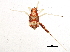  ( - BIOUG10778-E07)  @12 [ ] CreativeCommons - Attribution (2014) CBG Photography Group Centre for Biodiversity Genomics