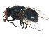  ( - BIOUG01373-E11)  @13 [ ] CreativeCommons - Attribution (2012) CBG Photography Group Centre for Biodiversity Genomics