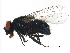  ( - BIOUG01373-E12)  @14 [ ] CreativeCommons - Attribution (2012) CBG Photography Group Centre for Biodiversity Genomics