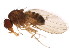  ( - BIOUG01389-A08)  @13 [ ] CreativeCommons - Attribution (2012) CBG Photography Group Centre for Biodiversity Genomics
