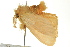  ( - BIOUG02250-D01)  @13 [ ] CreativeCommons - Attribution (2012) CBG Photography Group Centre for Biodiversity Genomics