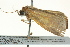  ( - BIOUG02250-G10)  @13 [ ] CreativeCommons - Attribution (2012) CBG Photography Group Centre for Biodiversity Genomics