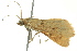  ( - BIOUG02252-F10)  @13 [ ] CreativeCommons - Attribution (2012) CBG Photography Group Centre for Biodiversity Genomics