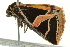  ( - BIOUG02252-H04)  @12 [ ] CreativeCommons - Attribution (2012) CBG Photography Group Centre for Biodiversity Genomics