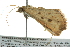  ( - BIOUG02116-C07)  @13 [ ] CreativeCommons - Attribution (2012) CBG Photography Group Centre for Biodiversity Genomics
