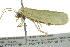  ( - BIOUG02116-G08)  @14 [ ] CreativeCommons - Attribution (2012) CBG Photography Group Centre for Biodiversity Genomics