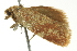  ( - BIOUG02119-D11)  @13 [ ] CreativeCommons - Attribution (2012) CBG Photography Group Centre for Biodiversity Genomics
