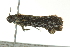  ( - BIOUG02119-H10)  @12 [ ] CreativeCommons - Attribution (2012) CBG Photography Group Centre for Biodiversity Genomics