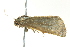  ( - BIOUG02119-H11)  @12 [ ] CreativeCommons - Attribution (2012) CBG Photography Group Centre for Biodiversity Genomics