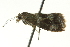  ( - BIOUG02120-C01)  @13 [ ] CreativeCommons - Attribution (2012) CBG Photography Group Centre for Biodiversity Genomics