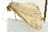  ( - BIOUG02120-F10)  @13 [ ] CreativeCommons - Attribution (2012) CBG Photography Group Centre for Biodiversity Genomics