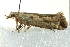  ( - BIOUG02120-H11)  @12 [ ] CreativeCommons - Attribution (2012) CBG Photography Group Centre for Biodiversity Genomics