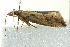  ( - BIOUG02122-C01)  @13 [ ] CreativeCommons - Attribution (2012) CBG Photography Group Centre for Biodiversity Genomics