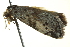  ( - BIOUG02129-B08)  @13 [ ] CreativeCommons - Attribution (2012) CBG Photography Group Centre for Biodiversity Genomics