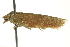  ( - BIOUG02129-B11)  @13 [ ] CreativeCommons - Attribution (2012) CBG Photography Group Centre for Biodiversity Genomics