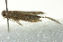  ( - BIOUG02129-G04)  @12 [ ] CreativeCommons - Attribution (2012) CBG Photography Group Centre for Biodiversity Genomics