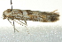  ( - BIOUG02129-H02)  @12 [ ] CreativeCommons - Attribution (2012) CBG Photography Group Centre for Biodiversity Genomics