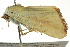  ( - BIOUG02187-H07)  @13 [ ] CreativeCommons - Attribution (2012) CBG Photography Group Centre for Biodiversity Genomics