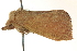  ( - BIOUG02213-D02)  @12 [ ] CreativeCommons - Attribution (2012) CBG Photography Group Centre for Biodiversity Genomics