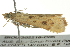  ( - BIOUG02216-C05)  @13 [ ] CreativeCommons - Attribution (2012) CBG Photography Group Centre for Biodiversity Genomics