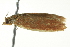  ( - BIOUG02216-F03)  @13 [ ] CreativeCommons - Attribution (2012) CBG Photography Group Centre for Biodiversity Genomics