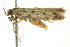  ( - BIOUG02216-G01)  @13 [ ] CreativeCommons - Attribution (2012) CBG Photography Group Centre for Biodiversity Genomics