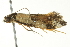  ( - BIOUG02218-G01)  @13 [ ] CreativeCommons - Attribution (2012) CBG Photography Group Centre for Biodiversity Genomics