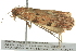  ( - BIOUG02219-A07)  @13 [ ] CreativeCommons - Attribution (2012) CBG Photography Group Centre for Biodiversity Genomics