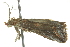  ( - BIOUG02219-C04)  @12 [ ] CreativeCommons - Attribution (2012) CBG Photography Group Centre for Biodiversity Genomics