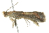  ( - BIOUG02219-C07)  @12 [ ] CreativeCommons - Attribution (2012) CBG Photography Group Centre for Biodiversity Genomics