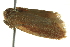  ( - BIOUG02219-D10)  @13 [ ] CreativeCommons - Attribution (2012) CBG Photography Group Centre for Biodiversity Genomics