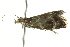  ( - BIOUG02220-B02)  @13 [ ] CreativeCommons - Attribution (2012) CBG Photography Group Centre for Biodiversity Genomics