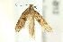  ( - BIOUG02220-B12)  @13 [ ] CreativeCommons - Attribution (2012) CBG Photography Group Centre for Biodiversity Genomics