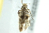  ( - BIOUG02220-C07)  @13 [ ] CreativeCommons - Attribution (2012) CBG Photography Group Centre for Biodiversity Genomics