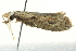  ( - BIOUG02220-E10)  @13 [ ] CreativeCommons - Attribution (2012) CBG Photography Group Centre for Biodiversity Genomics