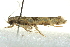  ( - BIOUG02242-H01)  @13 [ ] CreativeCommons - Attribution (2012) CBG Photography Group Centre for Biodiversity Genomics