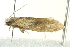  ( - BIOUG02244-D02)  @13 [ ] CreativeCommons - Attribution (2012) CBG Photography Group Centre for Biodiversity Genomics